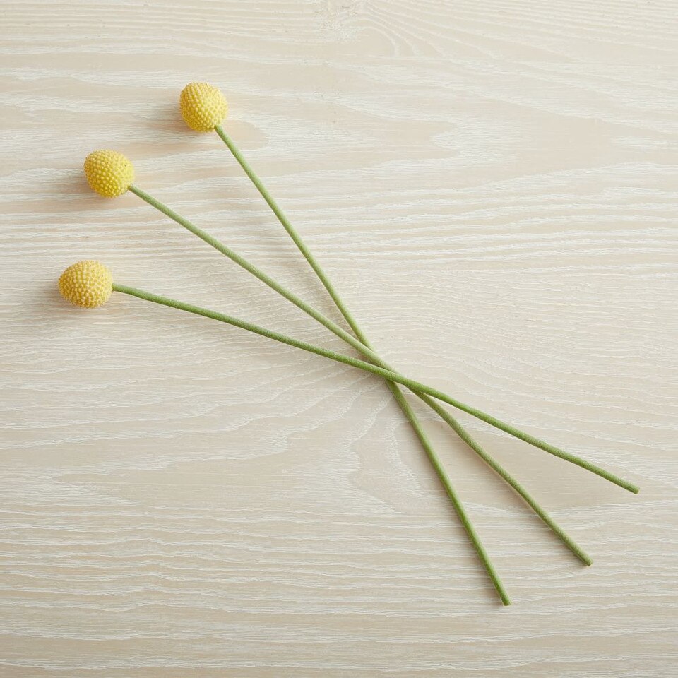 Faux Billy Ball Stem West Elm UK